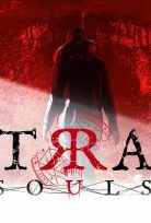 Stray Souls Pc Türkçe Yama